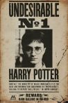  Plakát Harry Potter - Undesirable No 1 