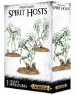  W-AOS: Nighthaunt Spirit Hosts (3 figurky) 